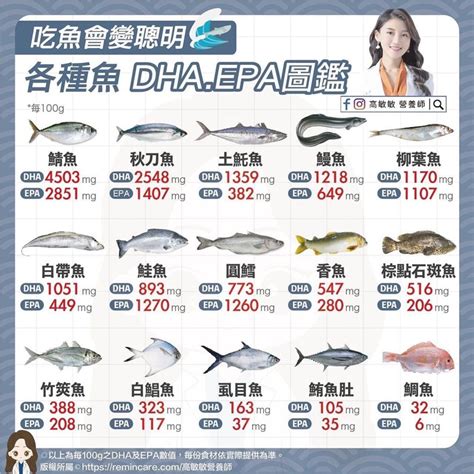 魚的排行榜